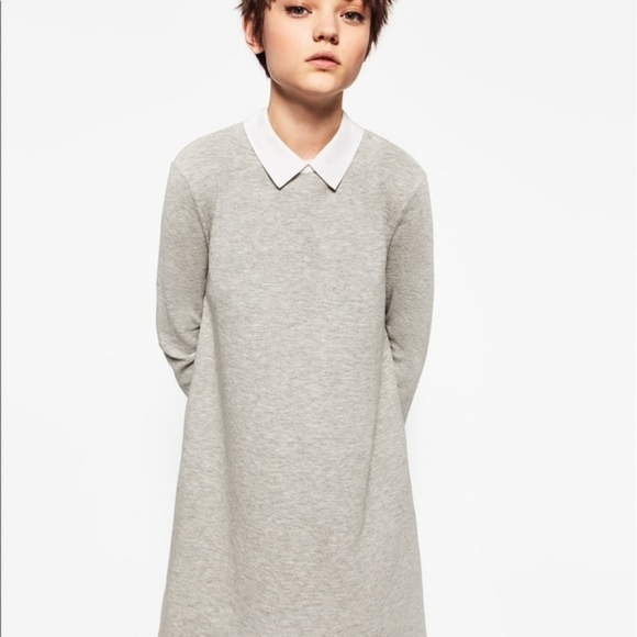 ZARA TRAFALUC COLLAR DRESS - Picture 3 of 4